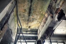 Best Asbestos and Lead Testing During Mold Inspection  in Lexington, OK